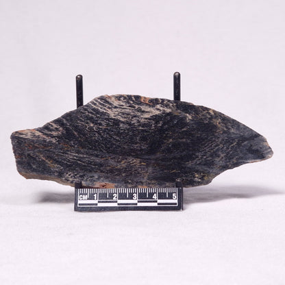 STROMATOLITE, Archean, Australia ZSL042