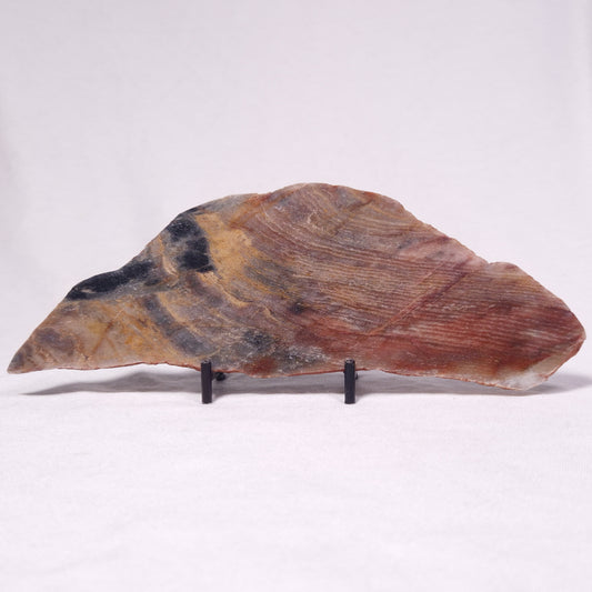STROMATOLITE, Archean, Australia ZSL043