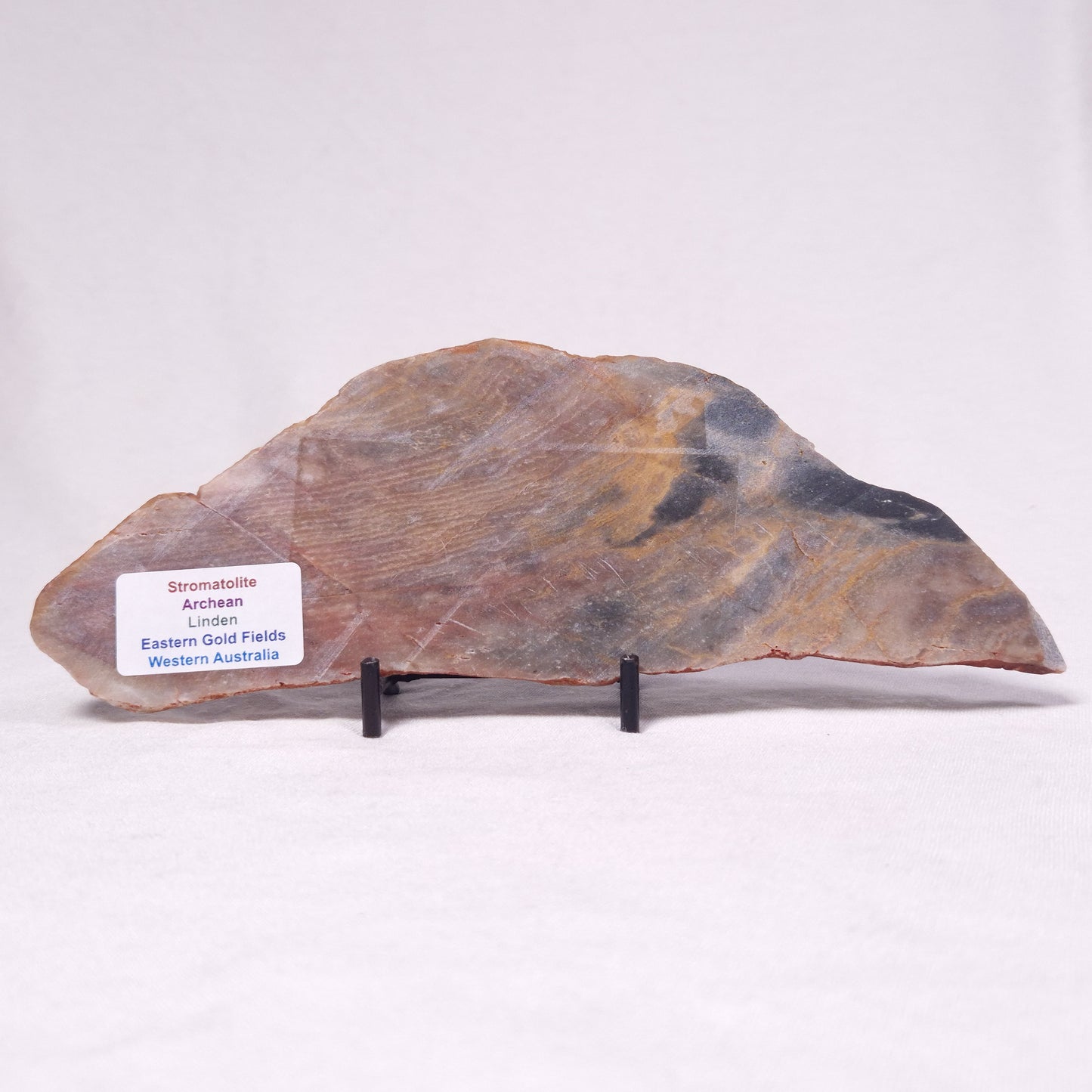 STROMATOLITE, Archean, Australia ZSL043