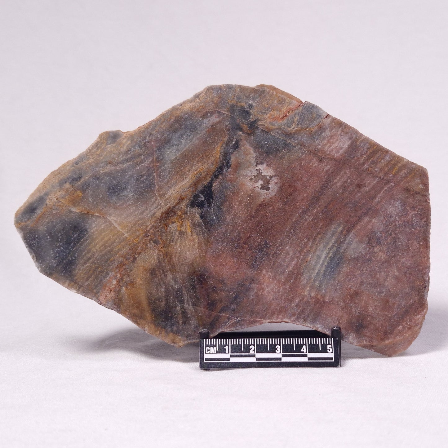 STROMATOLITE, Archean, Australia ZSL044