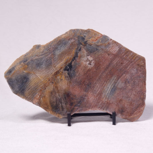 STROMATOLITE, Archean, Australia ZSL044