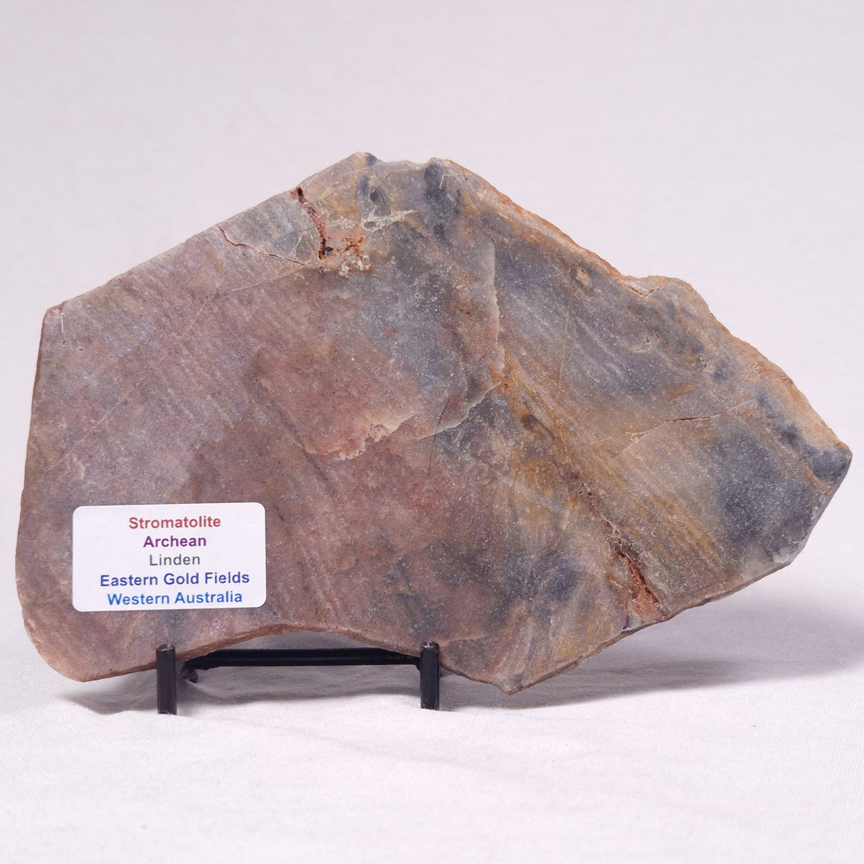 STROMATOLITE, Archean, Australia ZSL044