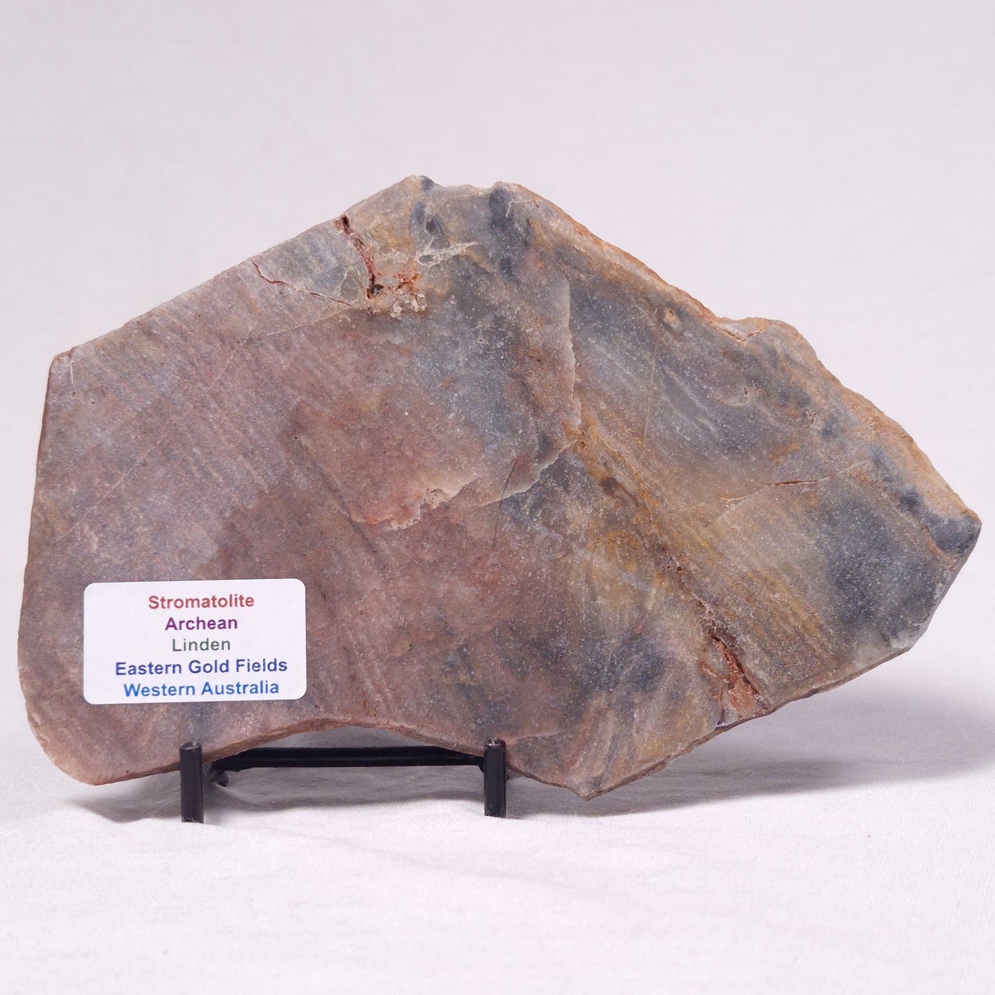 STROMATOLITE, Archean, Australia ZSL044