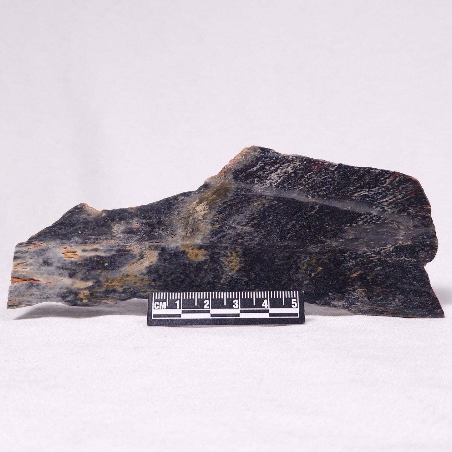STROMATOLITE, Archean, Australia ZSL045