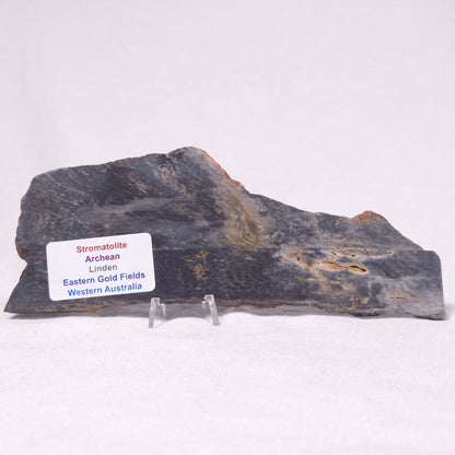STROMATOLITE, Archean, Australia ZSL045