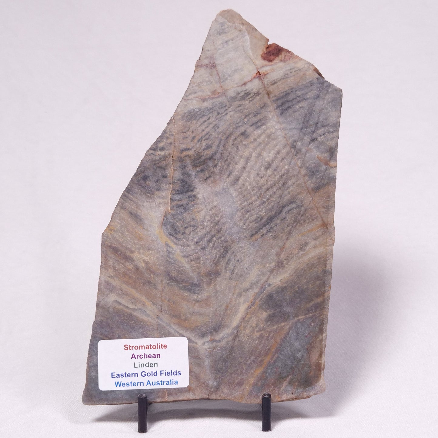 STROMATOLITE, Archean, Australia ZSL046