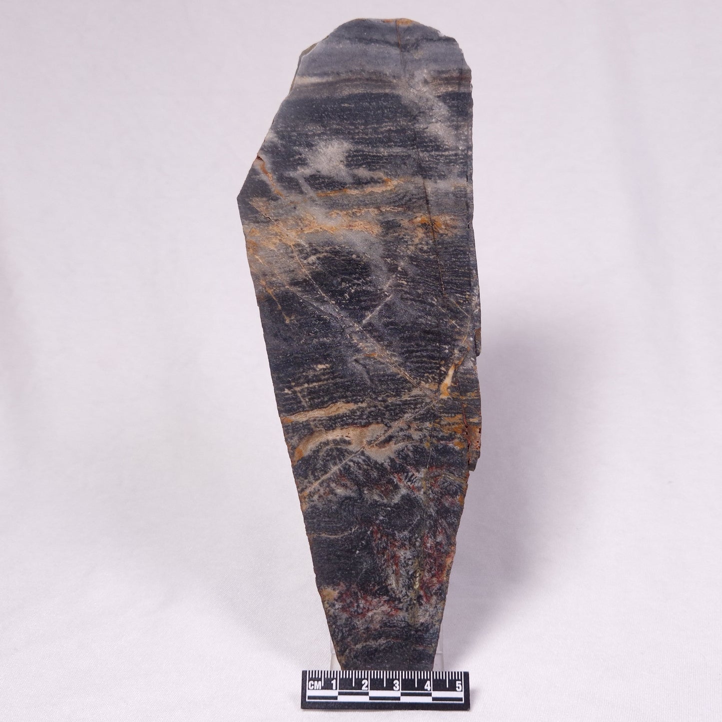 STROMATOLITE, Archean, Australia ZSL047
