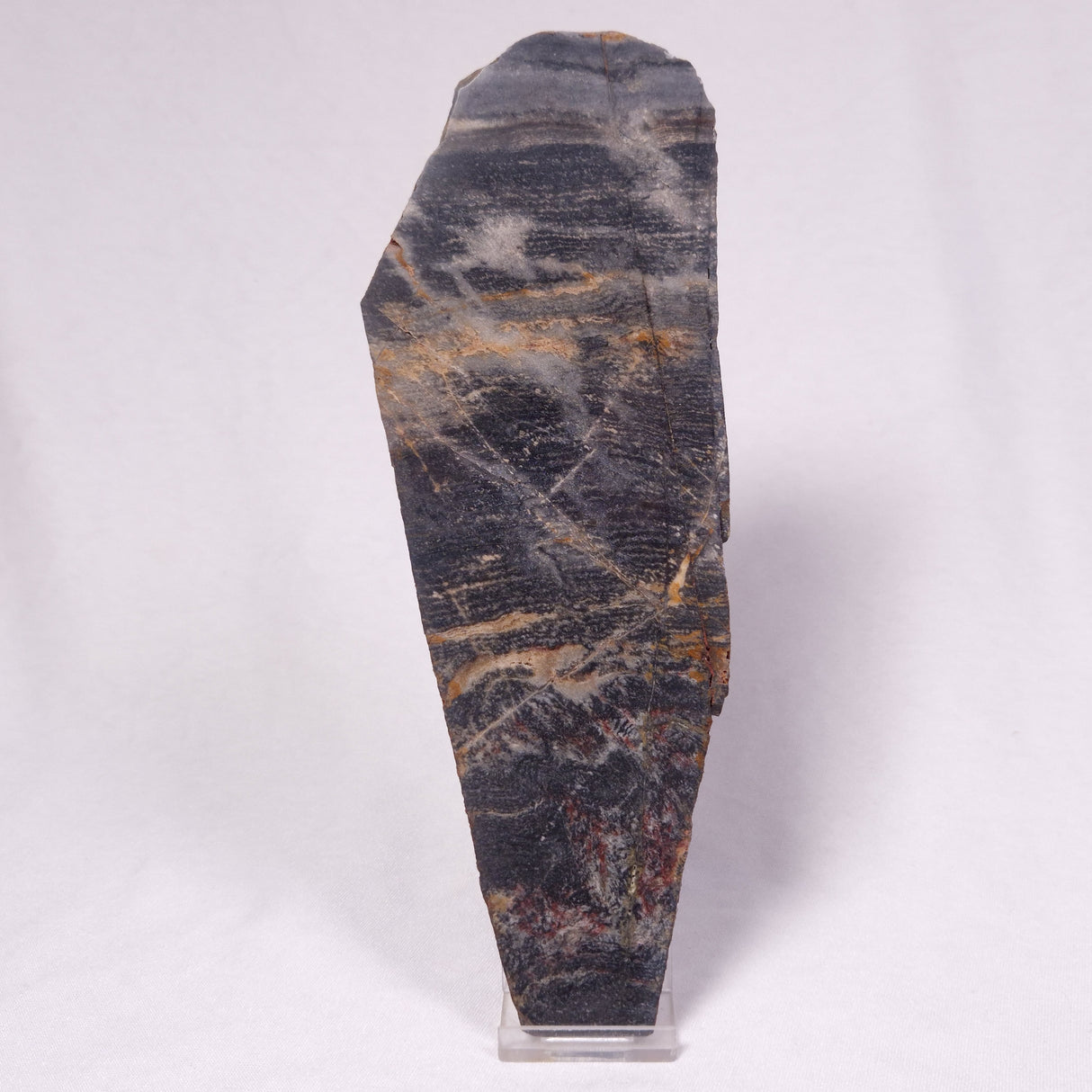 STROMATOLITE, Archean, Australia ZSL047