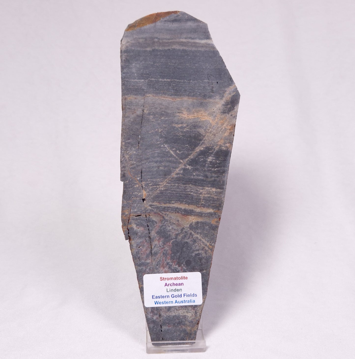 STROMATOLITE, Archean, Australia ZSL047