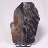 STROMATOLITE, Archean, Australia ZSL048