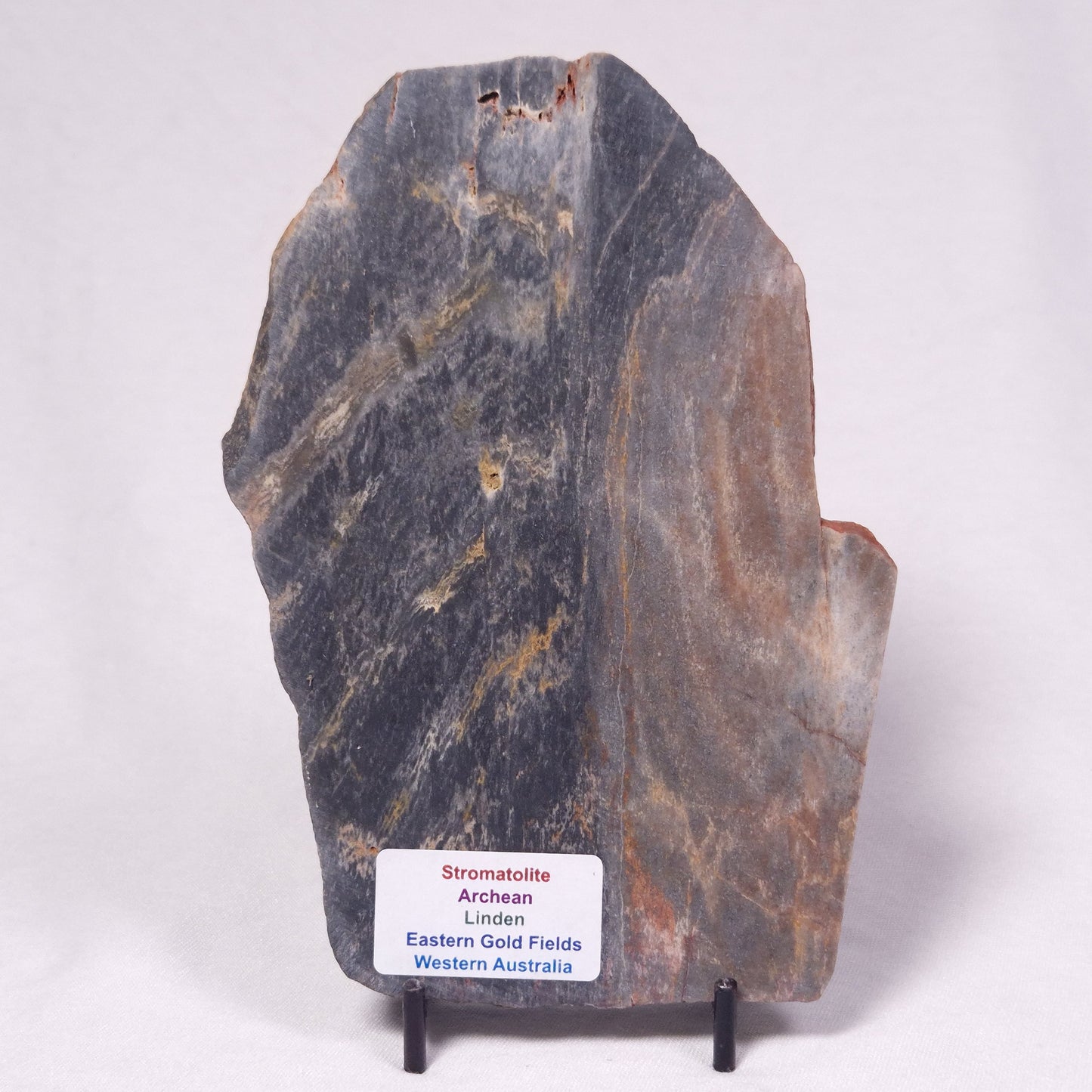 STROMATOLITE, Archean, Australia ZSL048