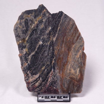 STROMATOLITE, Archean, Australia ZSL049