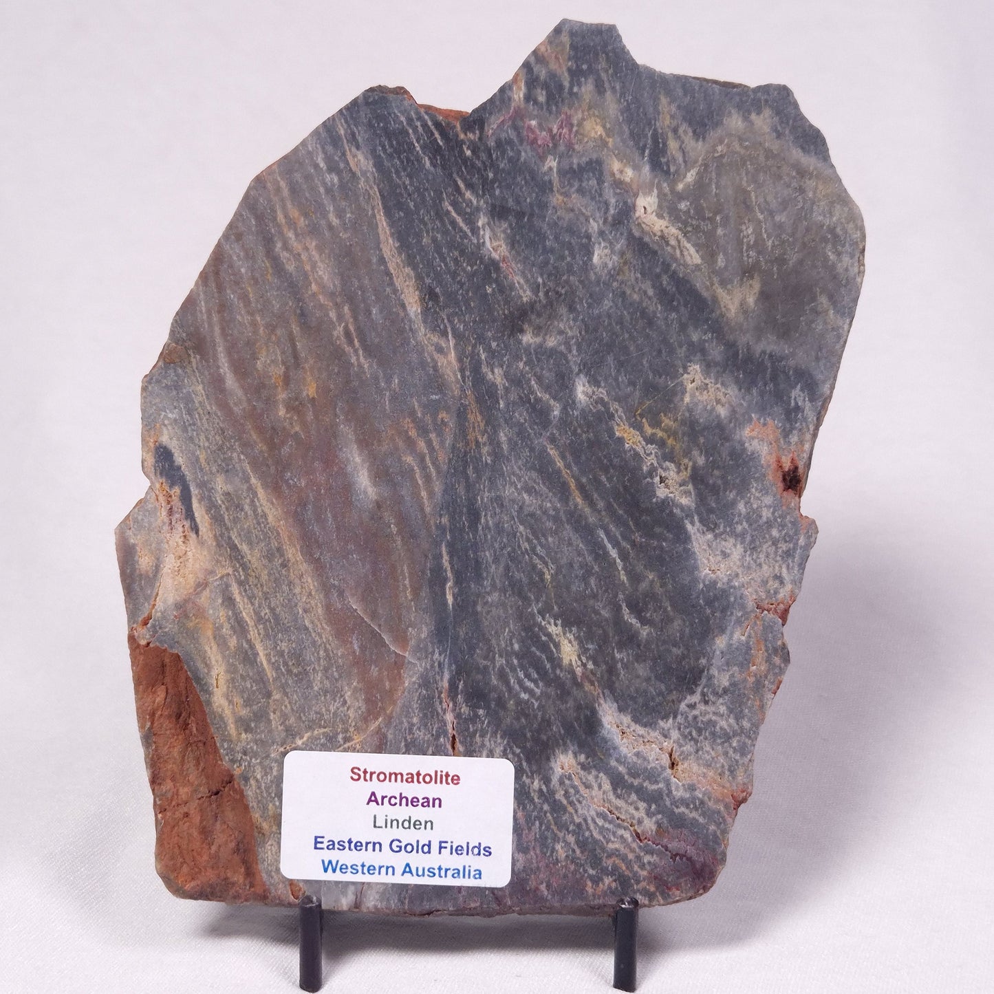 STROMATOLITE, Archean, Australia ZSL049