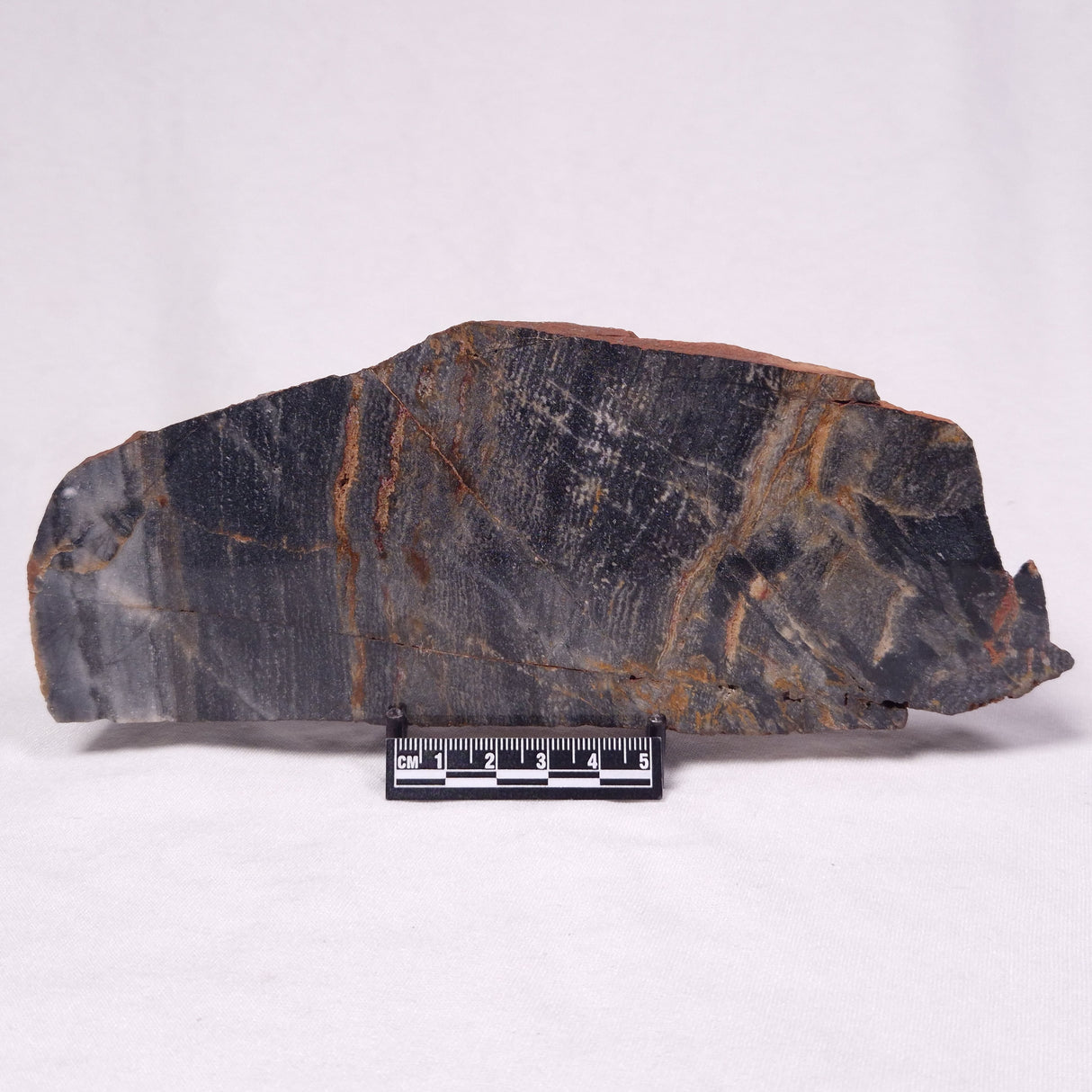 STROMATOLITE, Archean, Australia ZSL050