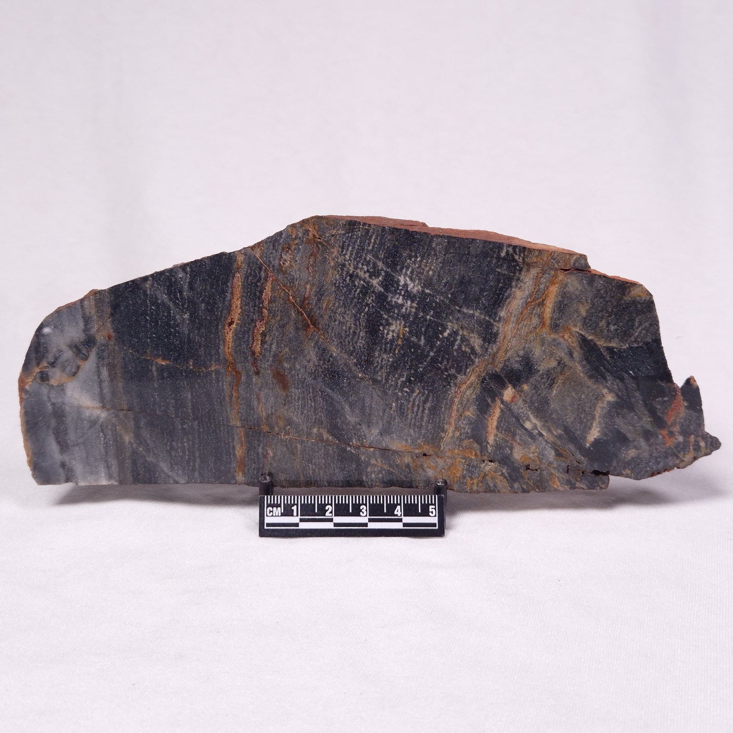 STROMATOLITE, Archean, Australia ZSL050
