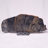 STROMATOLITE, Archean, Australia ZSL050