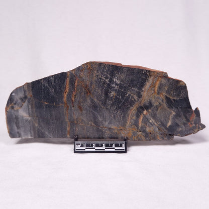 STROMATOLITE, Archean, Australia ZSL050