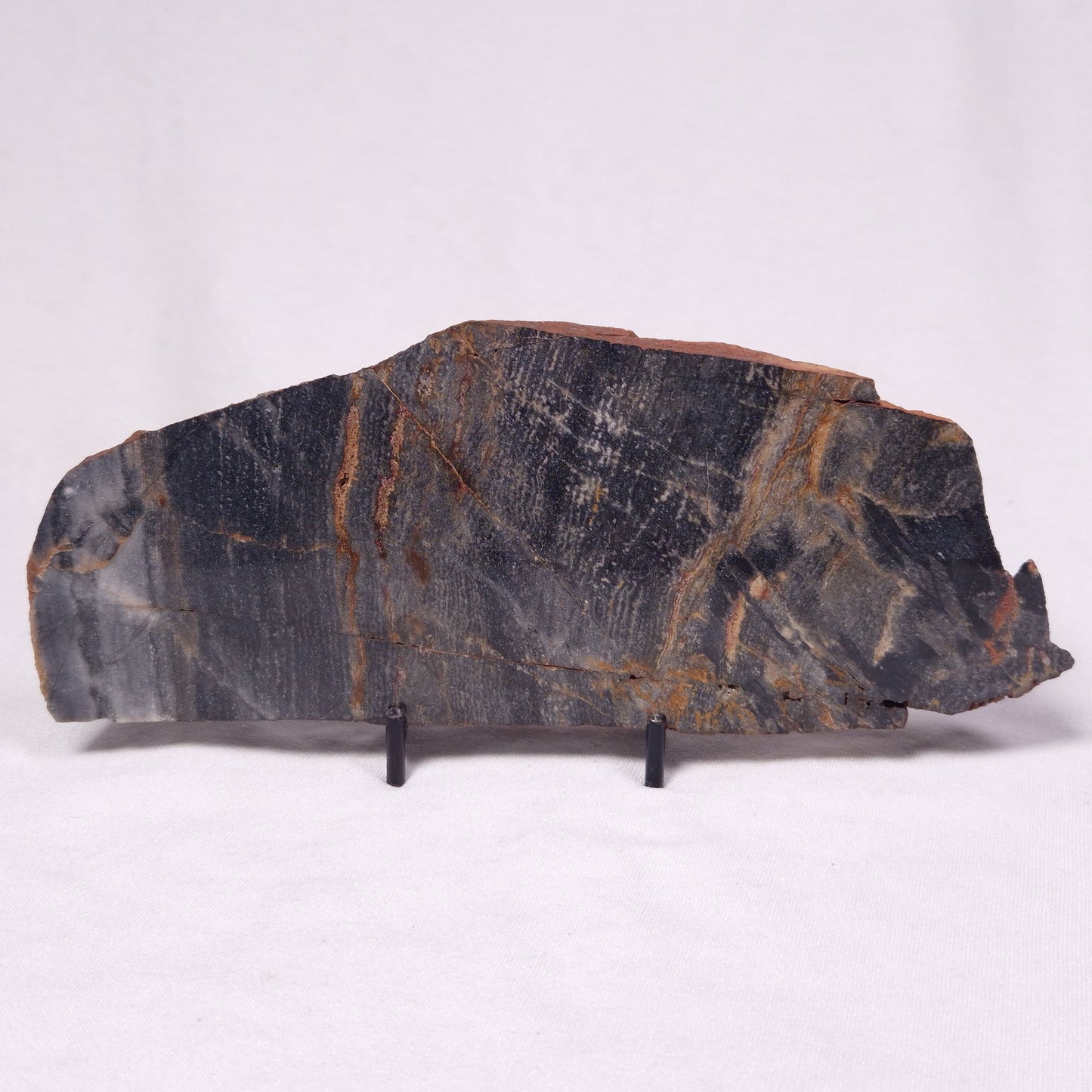 STROMATOLITE, Archean, Australia ZSL050