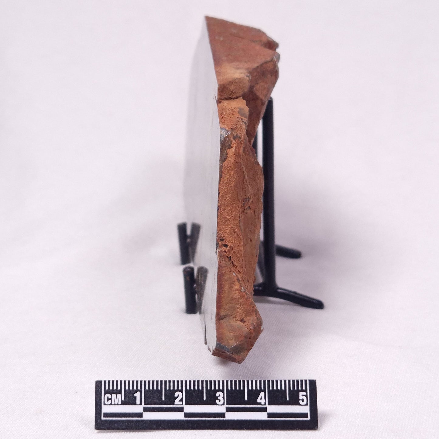 STROMATOLITE, Archean, Australia ZSL050