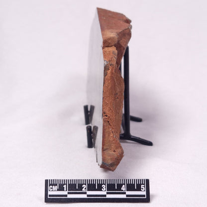 STROMATOLITE, Archean, Australia ZSL050