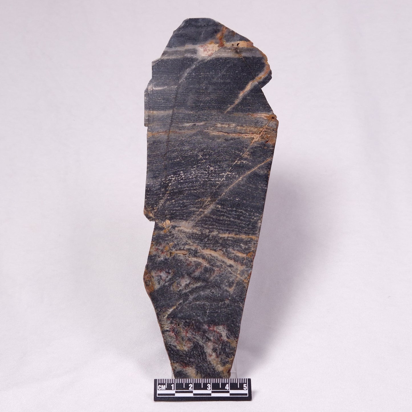 STROMATOLITE, Archean, Australia ZSL051