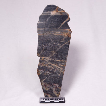 STROMATOLITE, Archean, Australia ZSL051