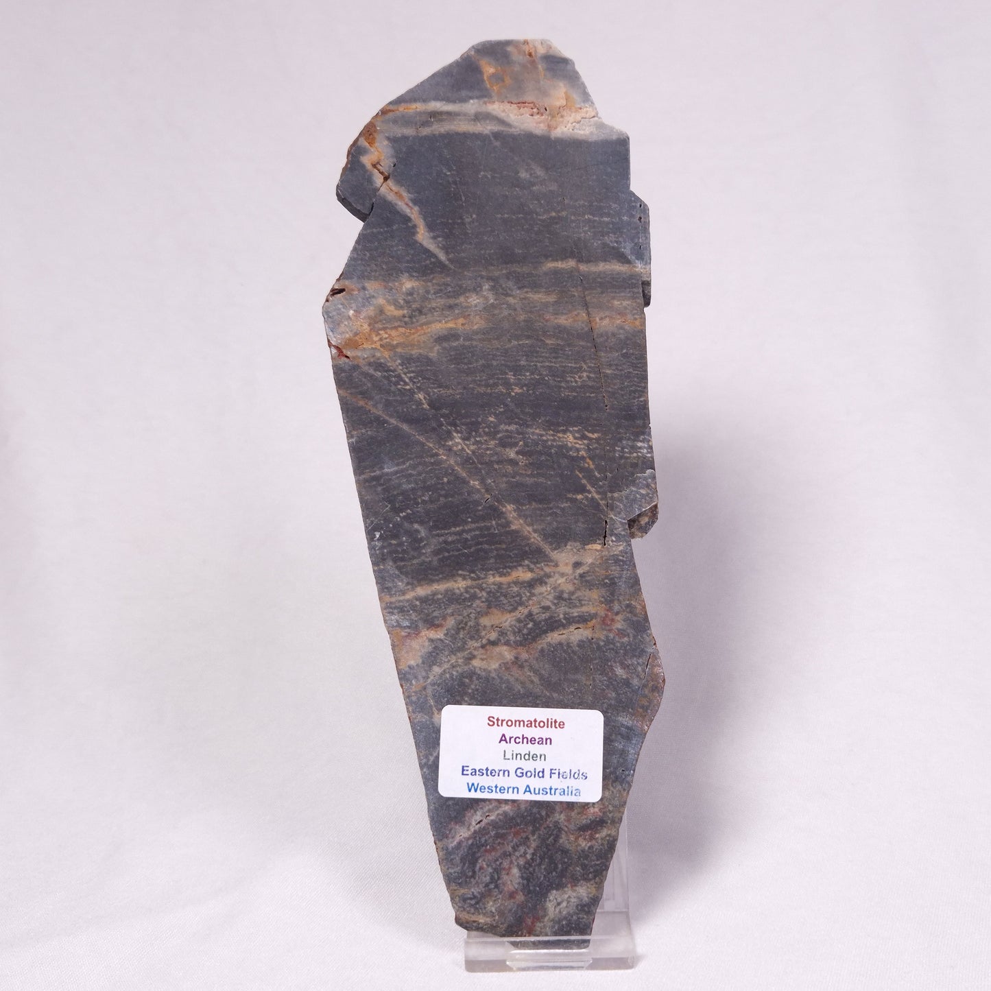 STROMATOLITE, Archean, Australia ZSL051