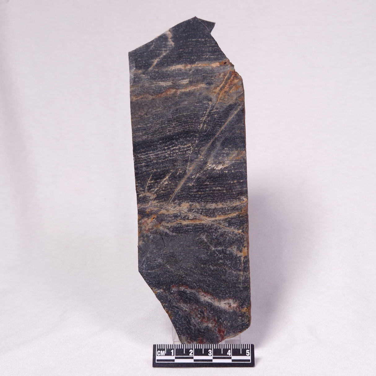 STROMATOLITE, Archean, Australia ZSL053