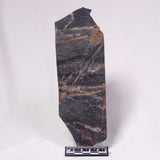 STROMATOLITE, Archean, Australia ZSL053