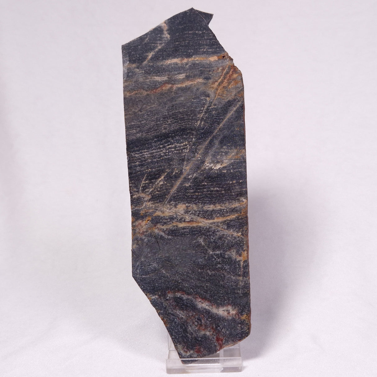 STROMATOLITE, Archean, Australia ZSL053