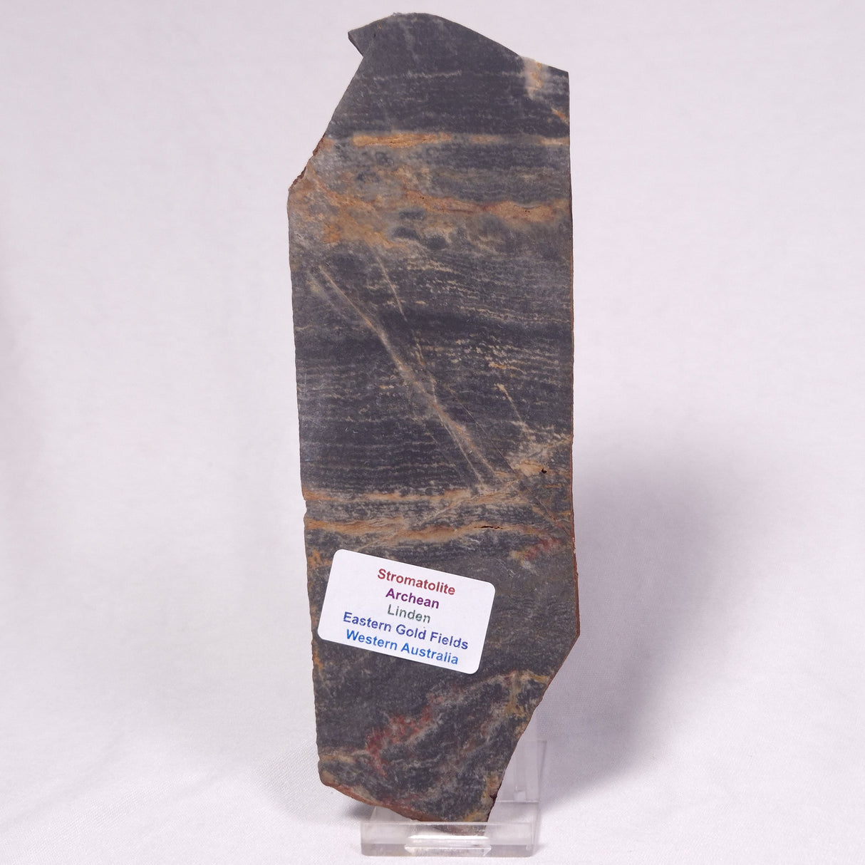 STROMATOLITE, Archean, Australia ZSL053