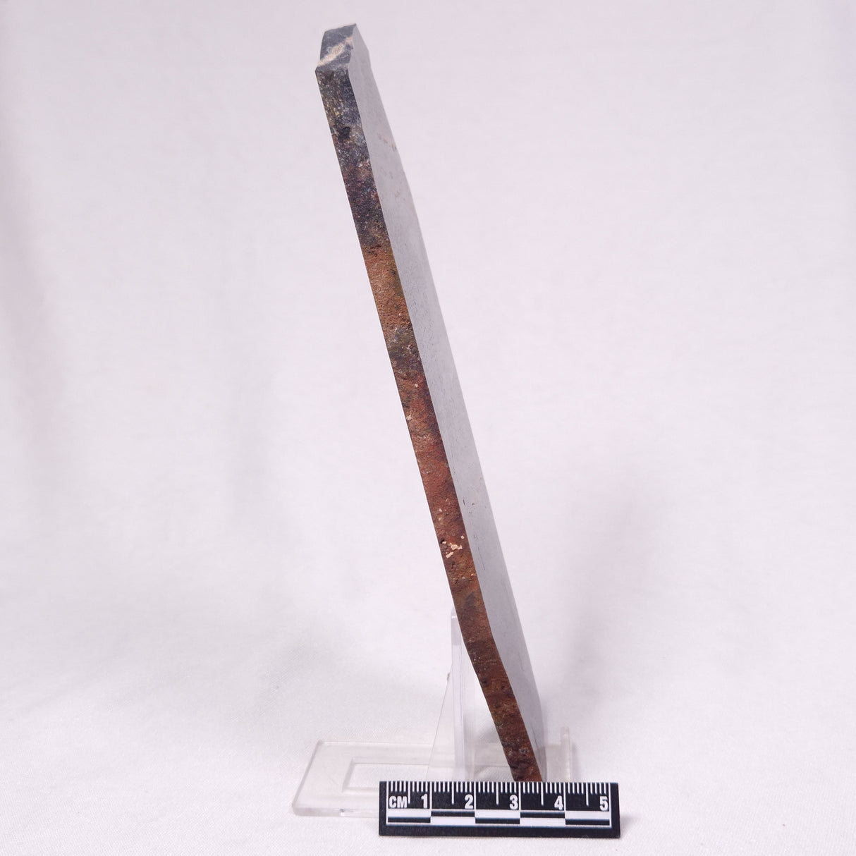 STROMATOLITE, Archean, Australia ZSL053