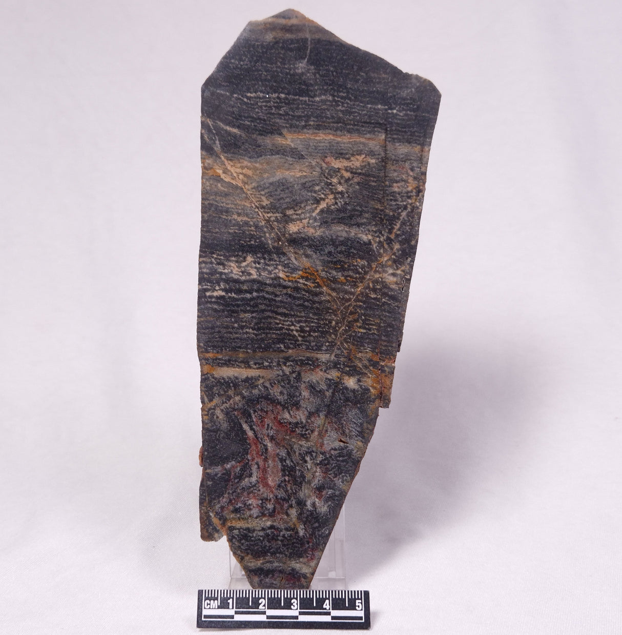 STROMATOLITE, Archean, Australia ZSL054