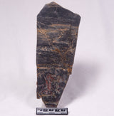STROMATOLITE, Archean, Australia ZSL054