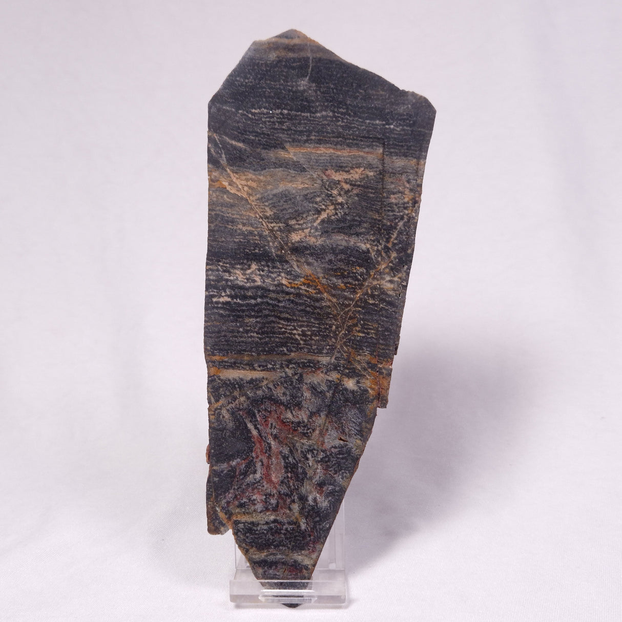 STROMATOLITE, Archean, Australia ZSL054