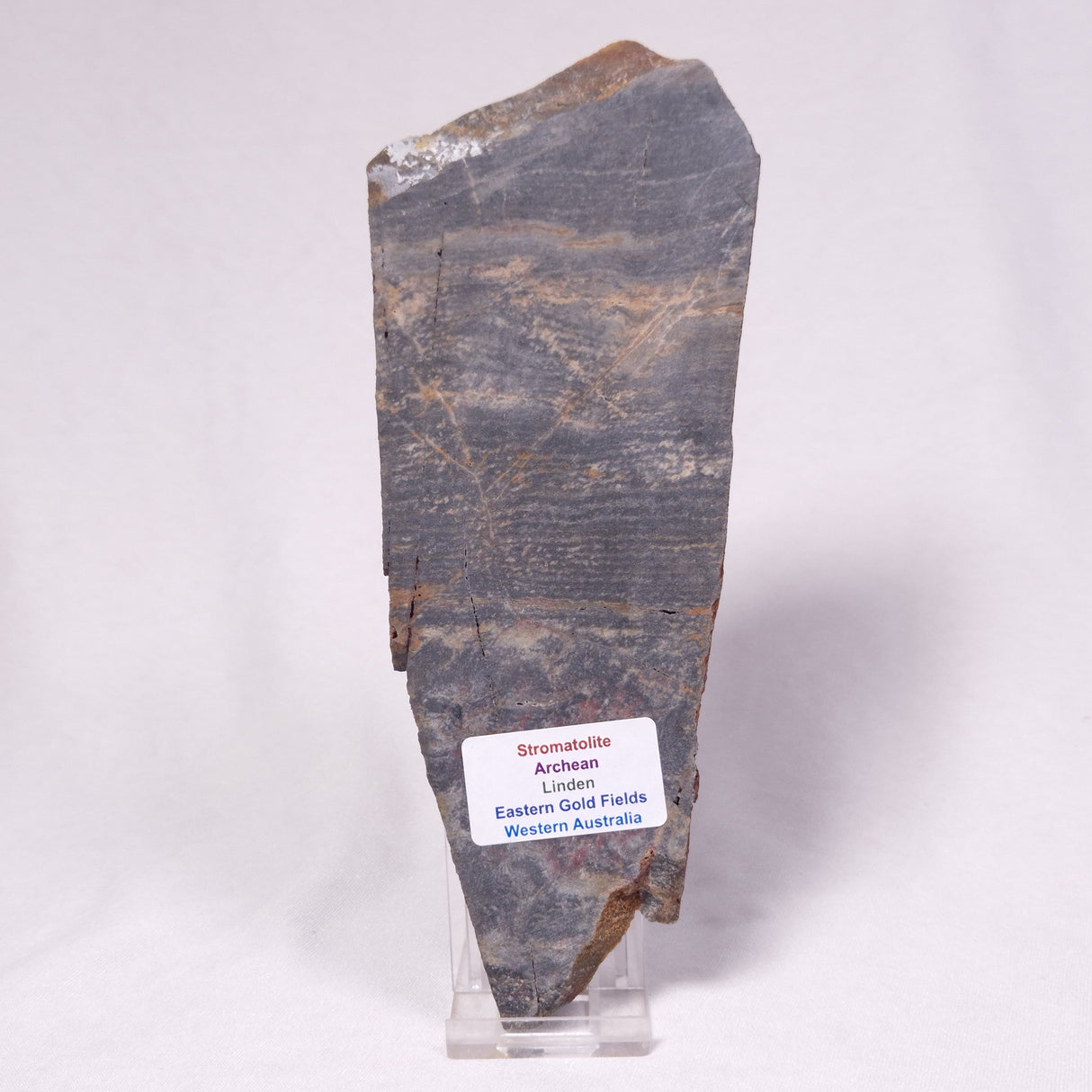 STROMATOLITE, Archean, Australia ZSL054