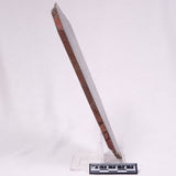 STROMATOLITE, Archean, Australia ZSL054