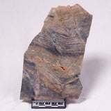 STROMATOLITE, Archean, Australia ZSL055