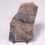 STROMATOLITE, Archean, Australia ZSL055