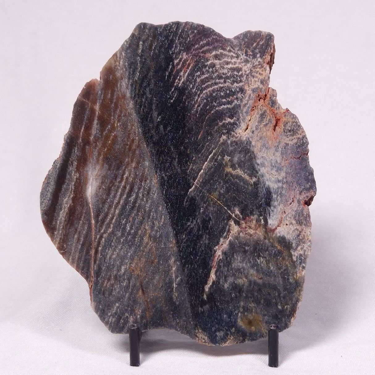 STROMATOLITE, Archean, Australia ZSL056