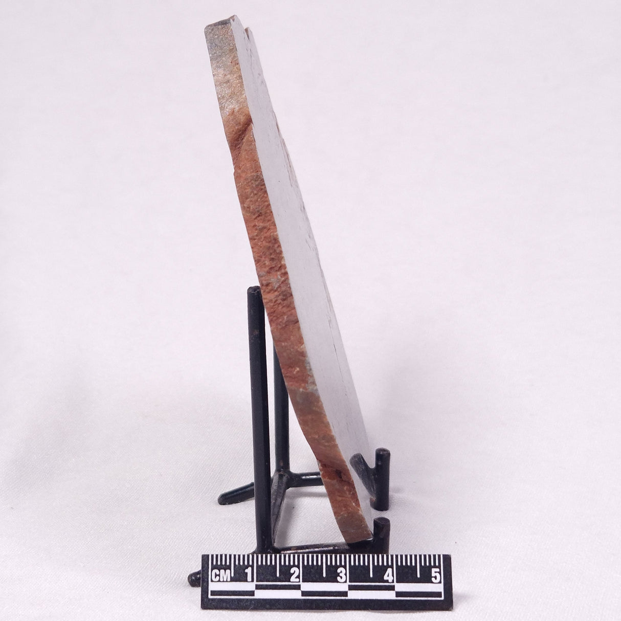 STROMATOLITE, Archean, Australia ZSL056