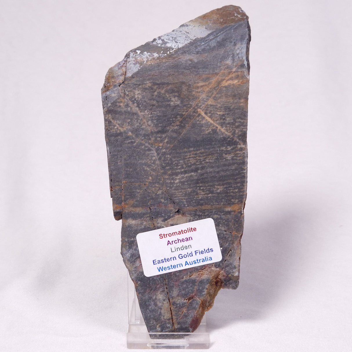 STROMATOLITE, Archean, Australia ZSL058