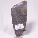 STROMATOLITE, Archean, Australia ZSL058
