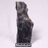 STROMATOLITE, Archean, Australia ZSL060