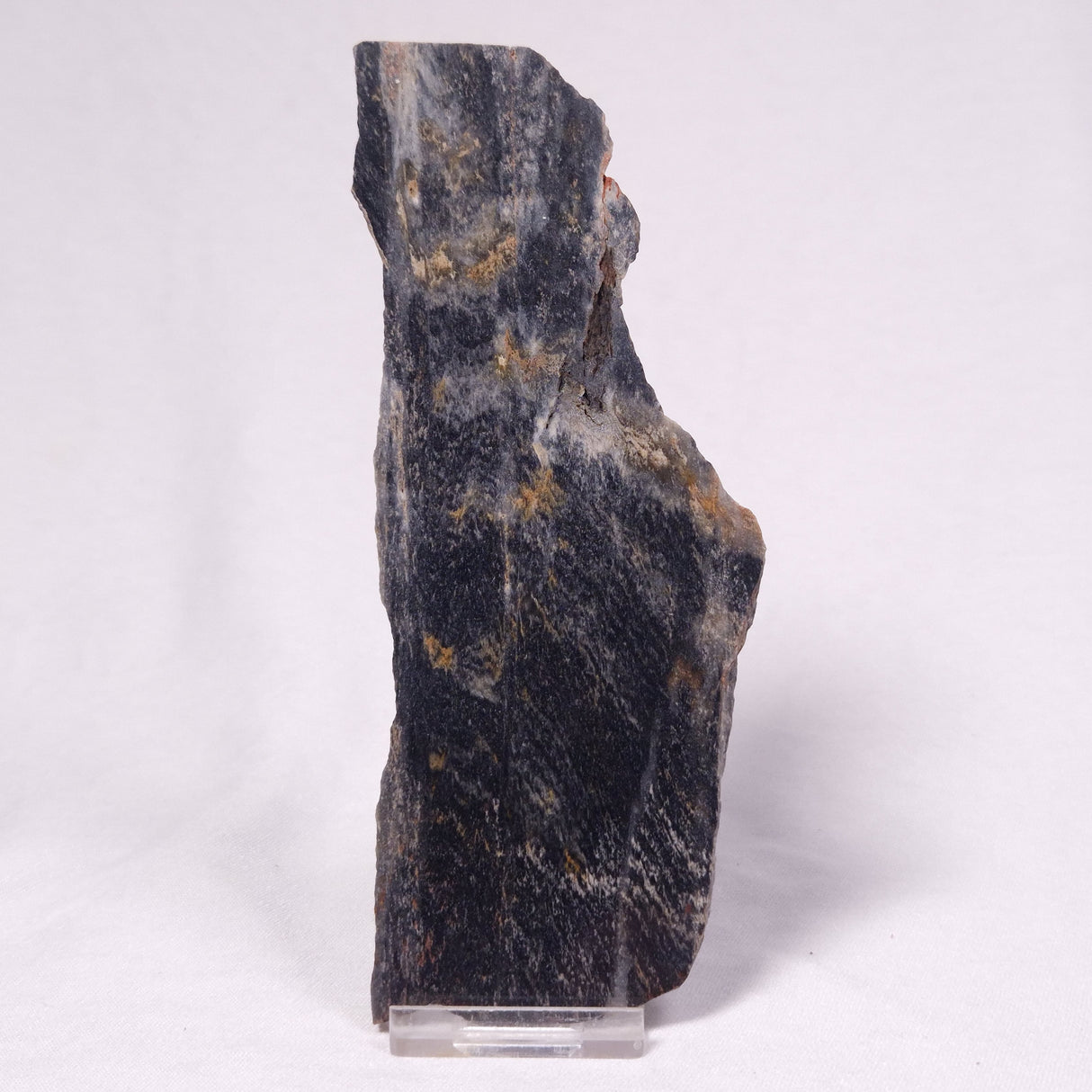 STROMATOLITE, Archean, Australia ZSL060