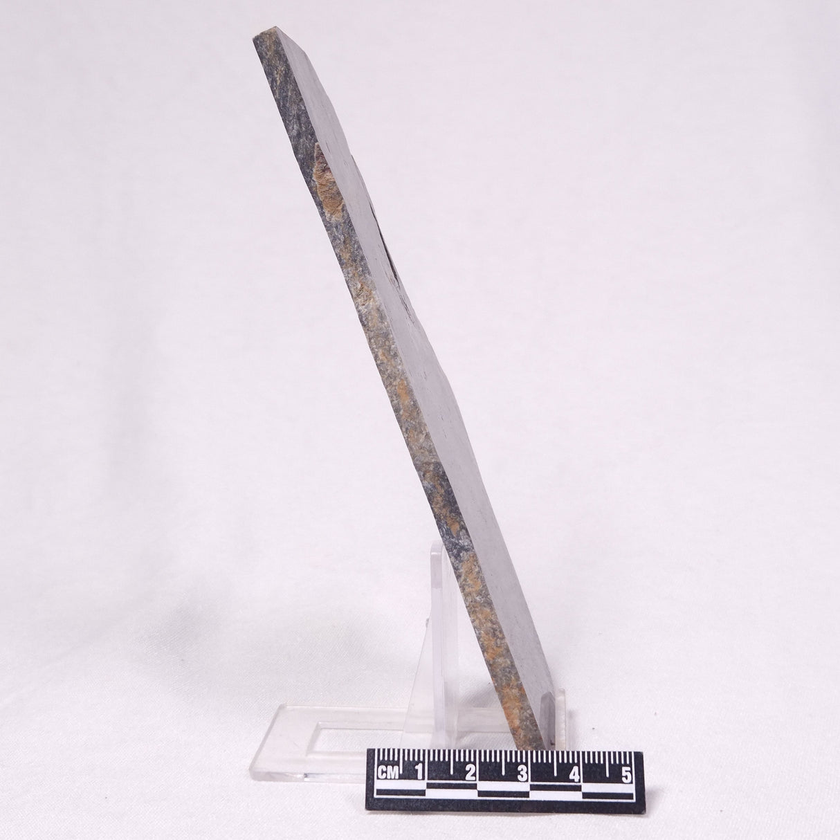 STROMATOLITE, Archean, Australia ZSL060