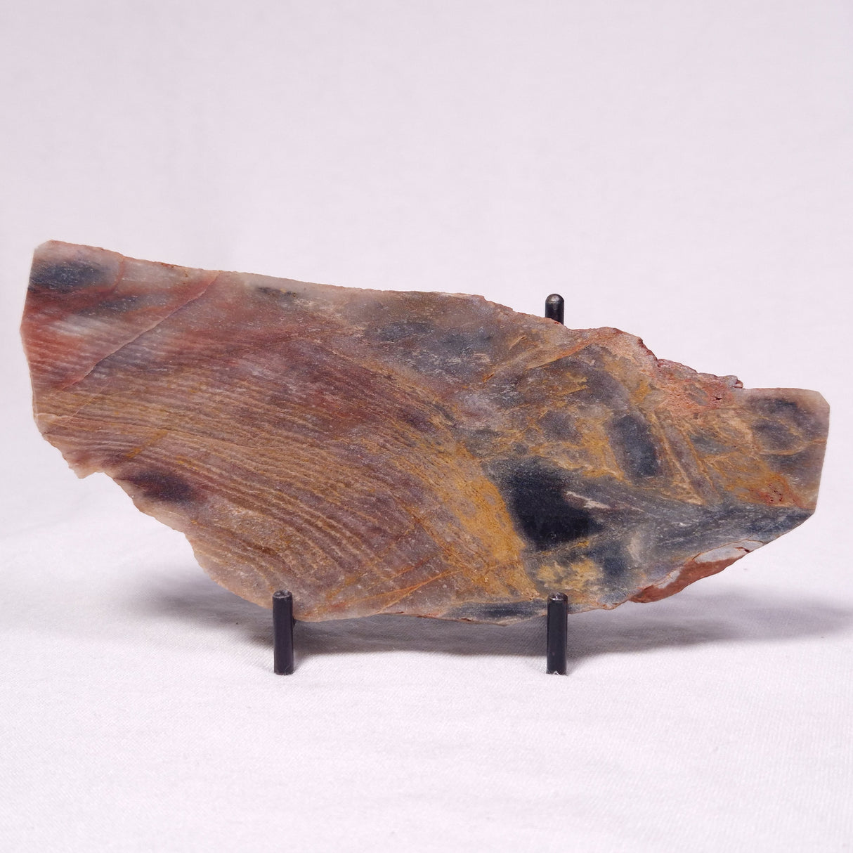 STROMATOLITE, Archean, Australia ZSL061