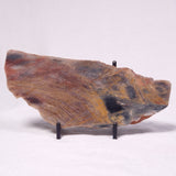 STROMATOLITE, Archean, Australia ZSL061