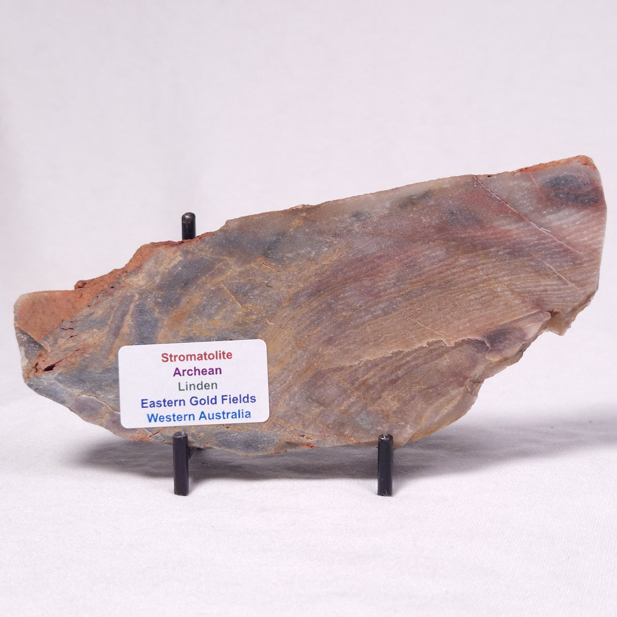 STROMATOLITE, Archean, Australia ZSL061