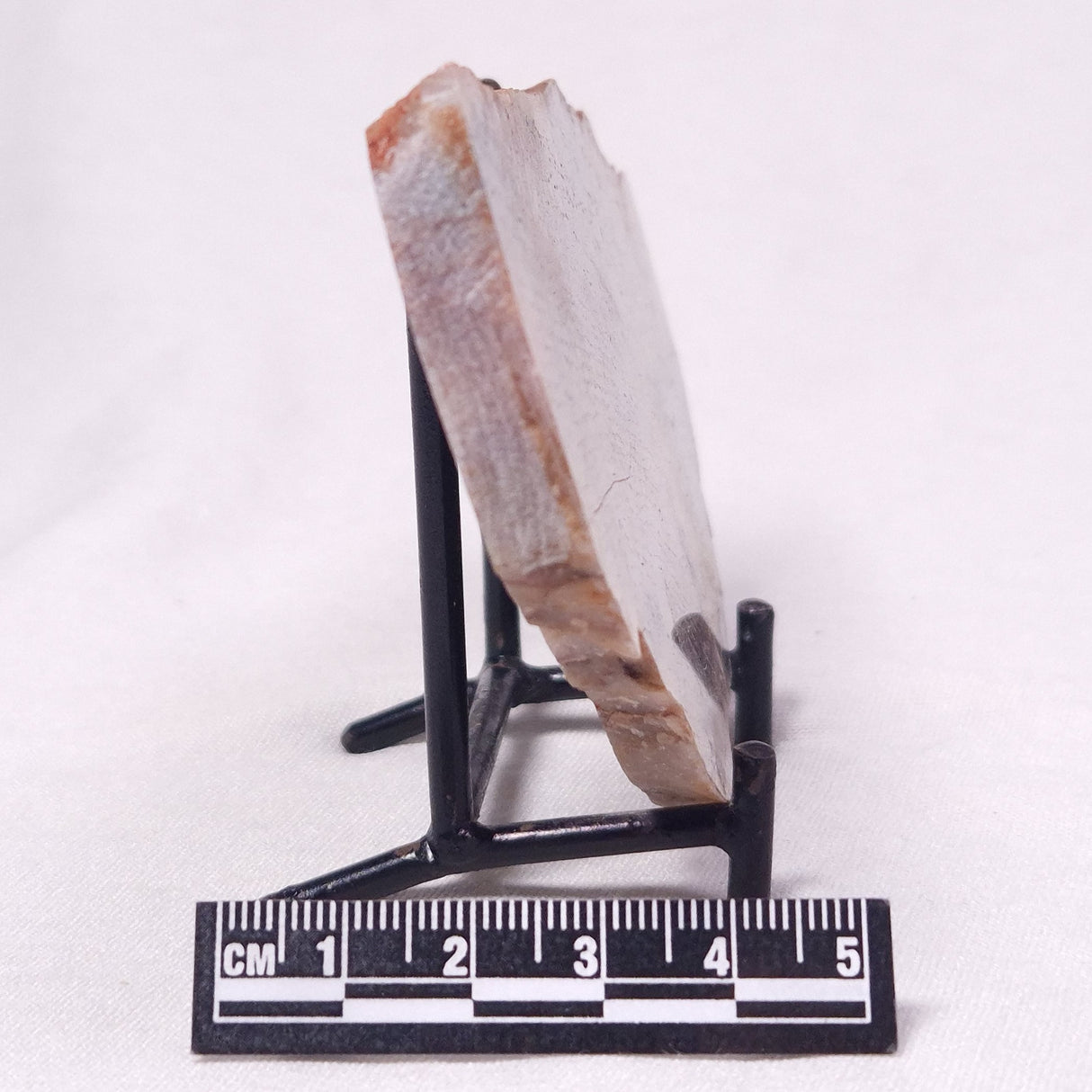 STROMATOLITE, Archean, Australia ZSL061